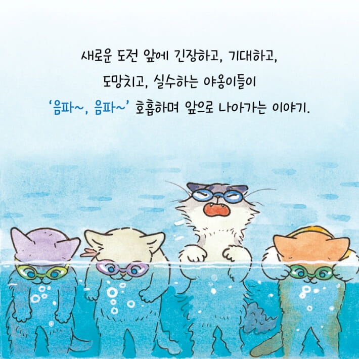카드뉴스5