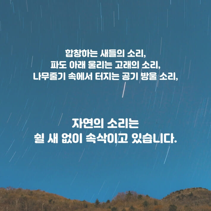 카드뉴스4