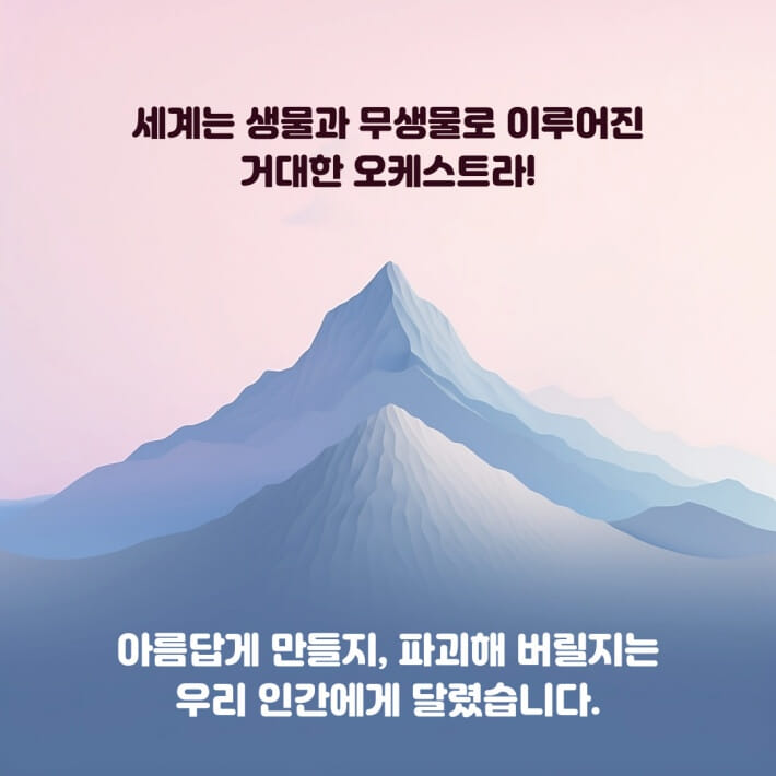 카드뉴스5