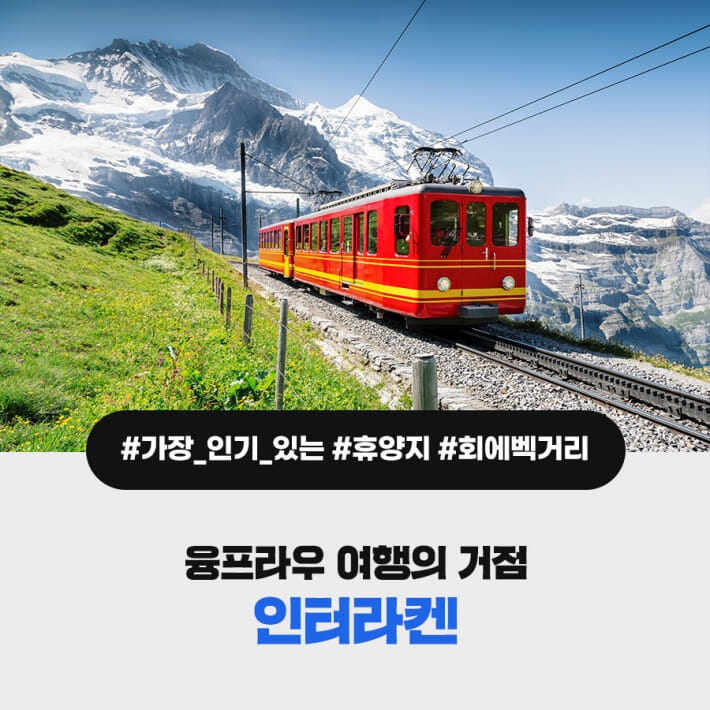 카드뉴스2