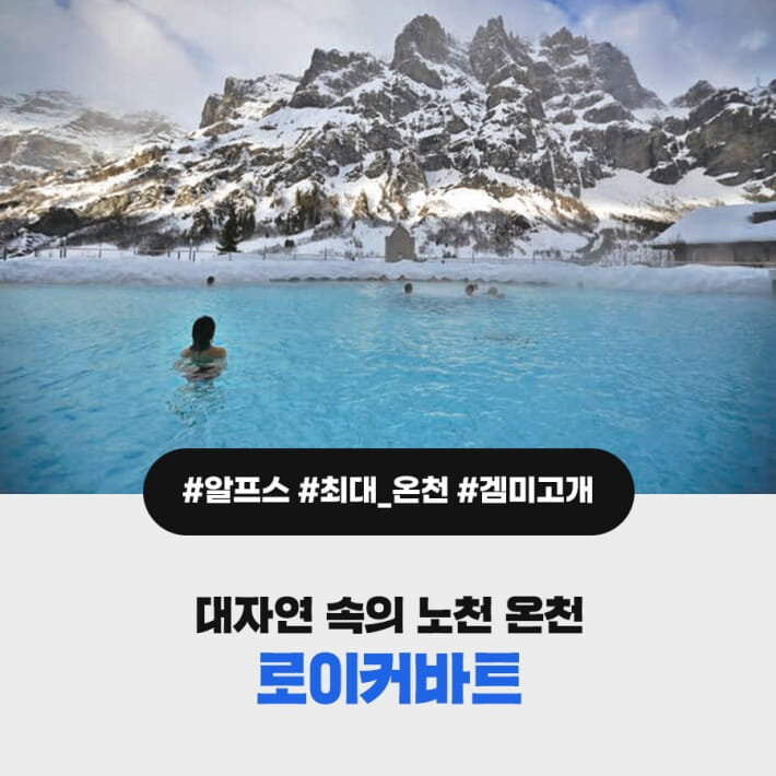 카드뉴스4