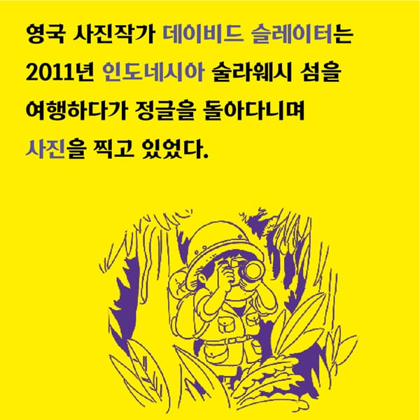 카드뉴스1