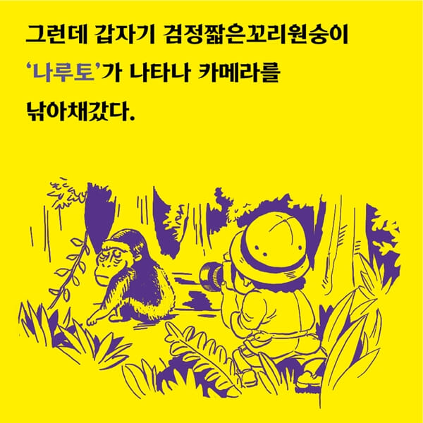 카드뉴스2