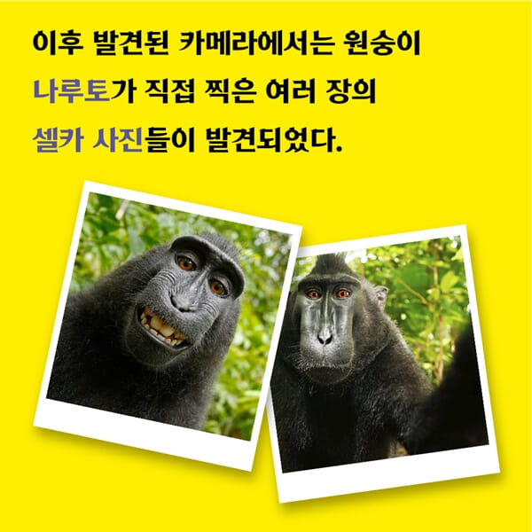 카드뉴스3