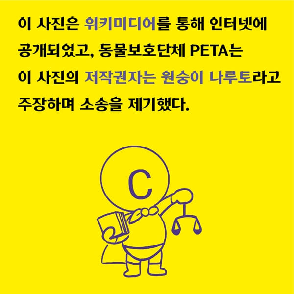 카드뉴스4