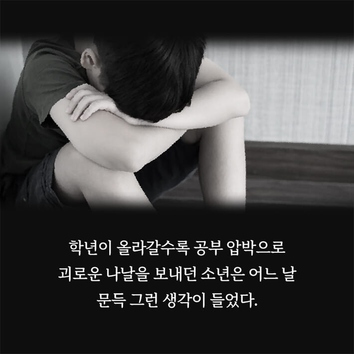 카드뉴스2