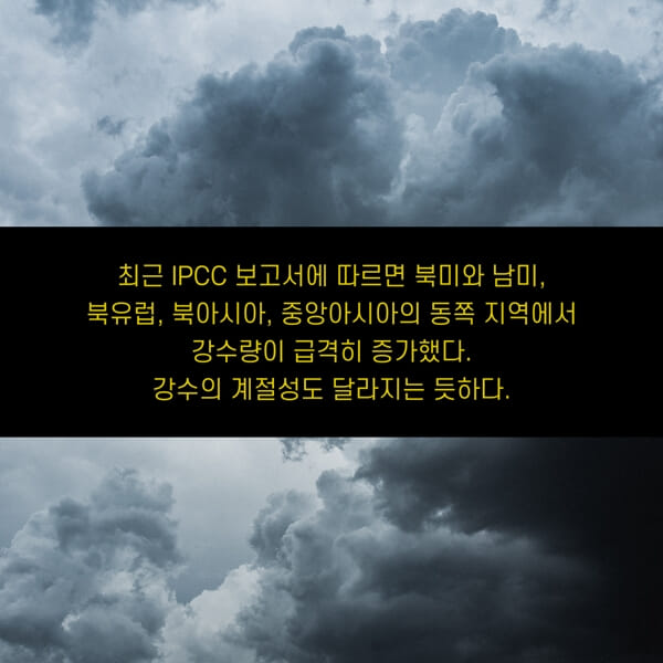 카드뉴스1
