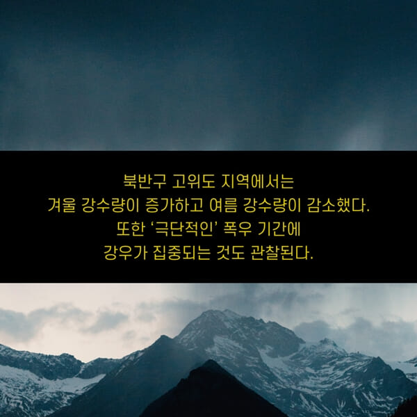 카드뉴스2