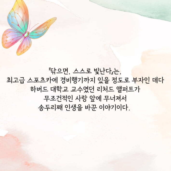 카드뉴스7