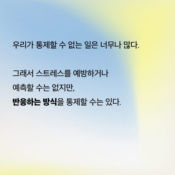 카드뉴스3