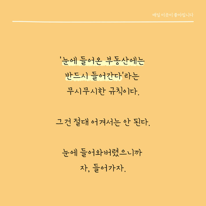 카드뉴스3