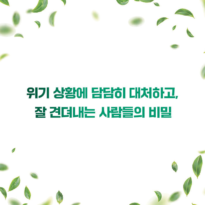 카드뉴스0