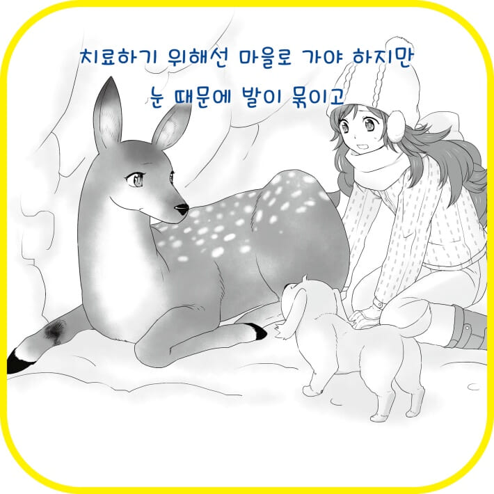 카드뉴스4
