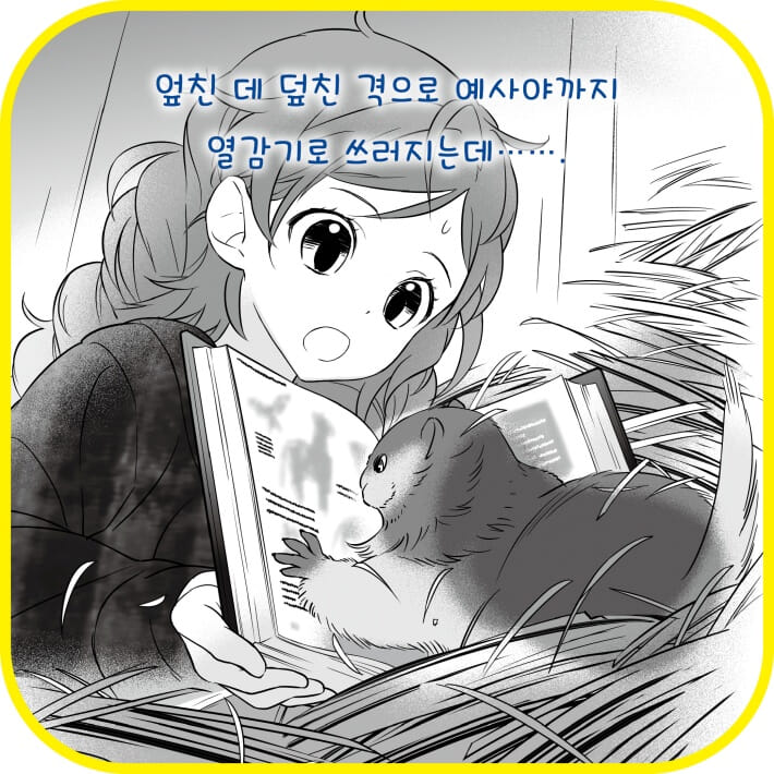 카드뉴스5