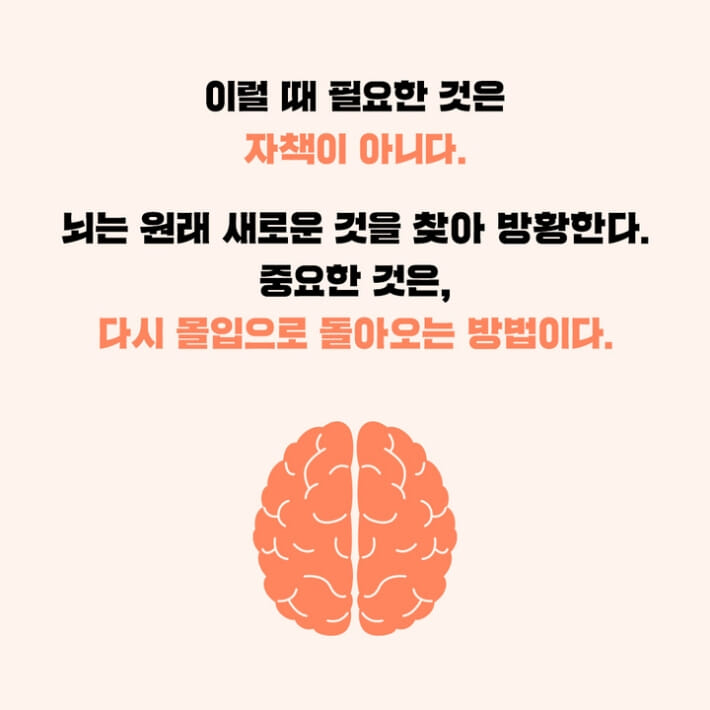 카드뉴스3