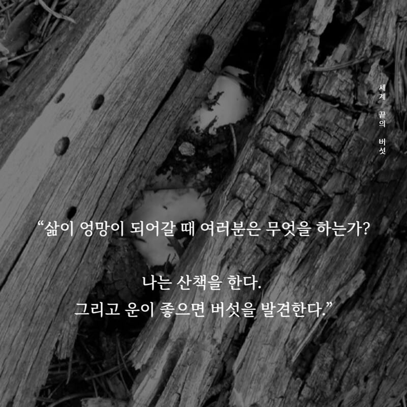 카드뉴스0