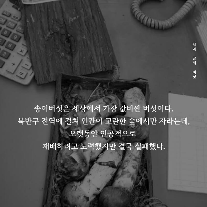 카드뉴스1