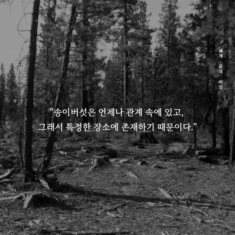 카드뉴스2