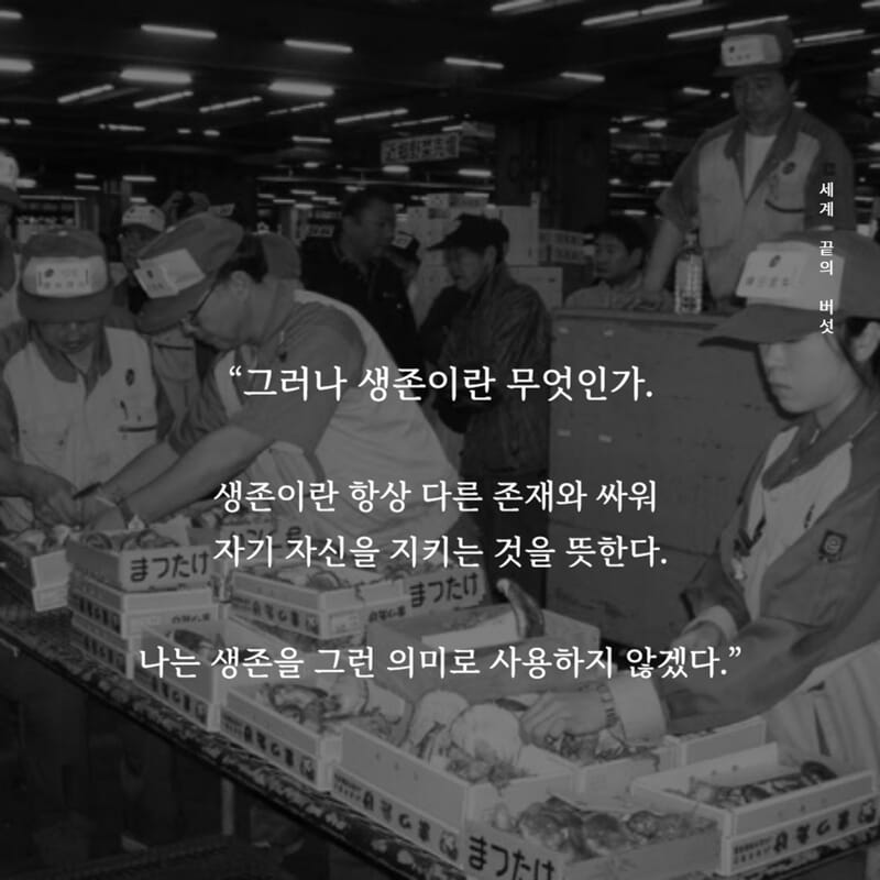 카드뉴스4