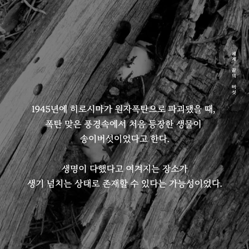 카드뉴스5