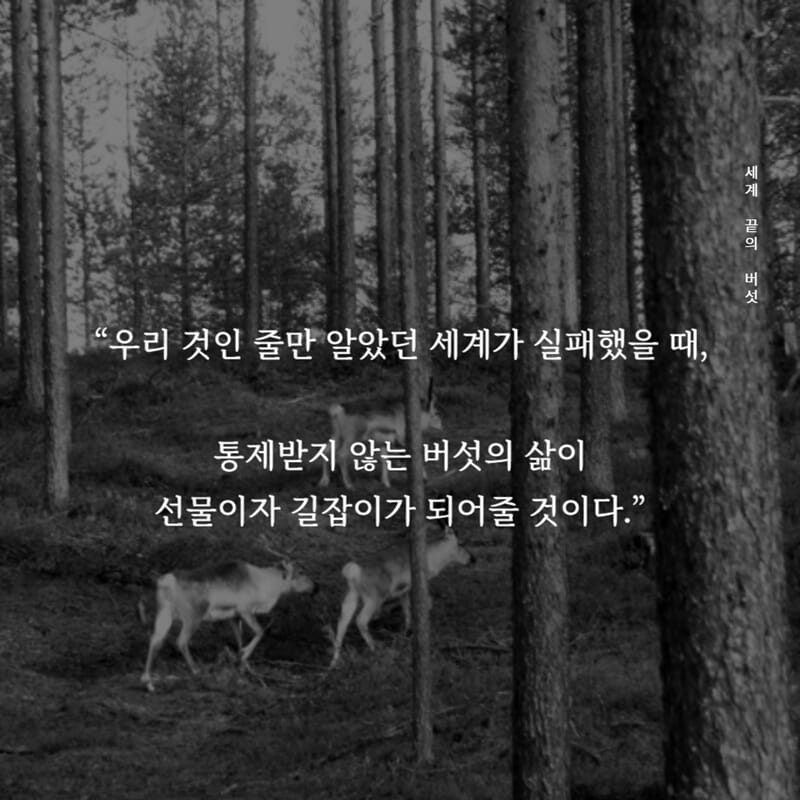 카드뉴스8