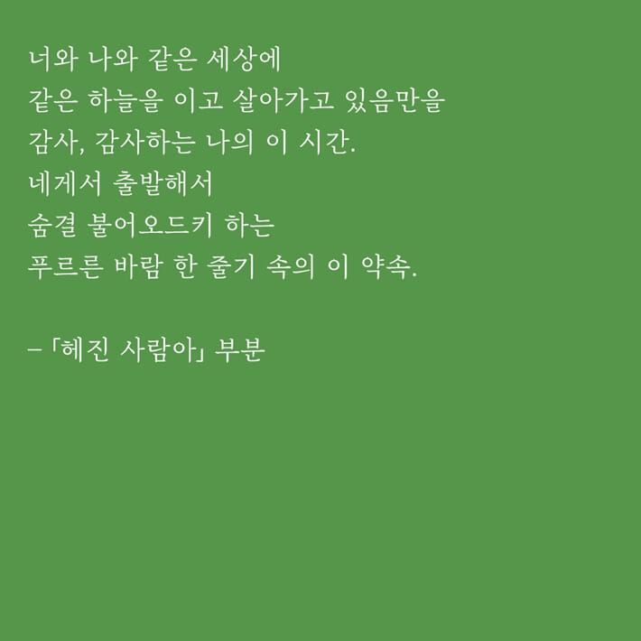 카드뉴스6