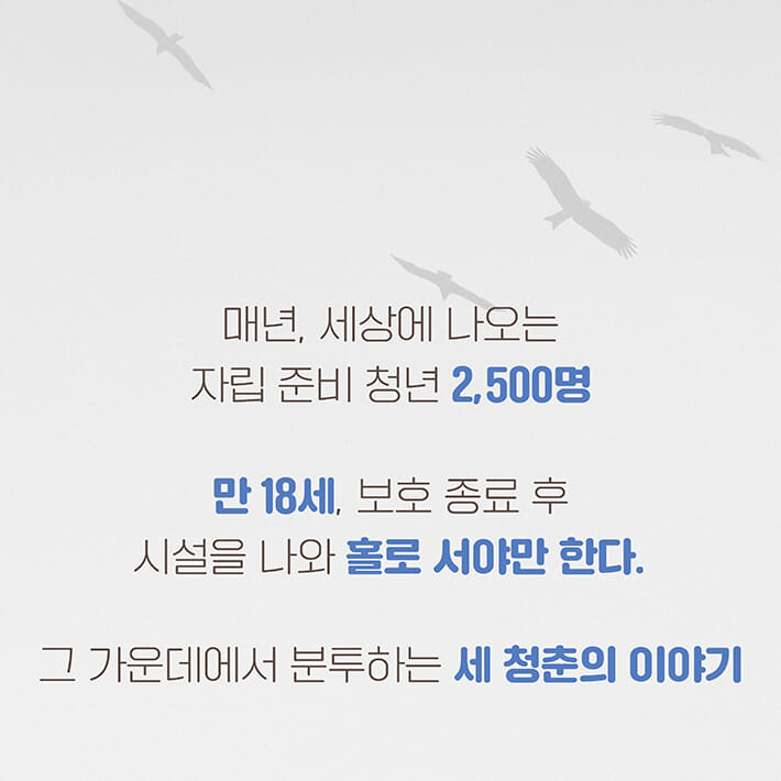 카드뉴스5