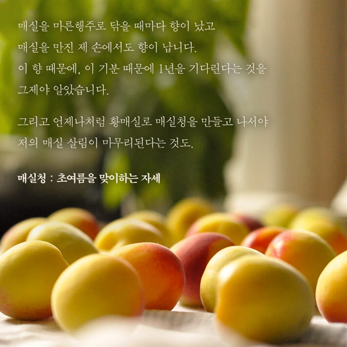 카드뉴스3