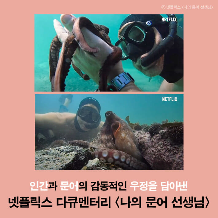 카드뉴스0