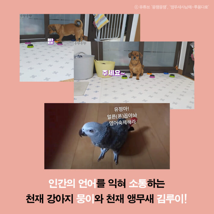 카드뉴스1