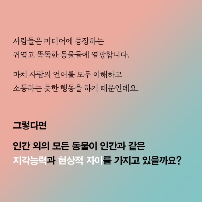 카드뉴스2
