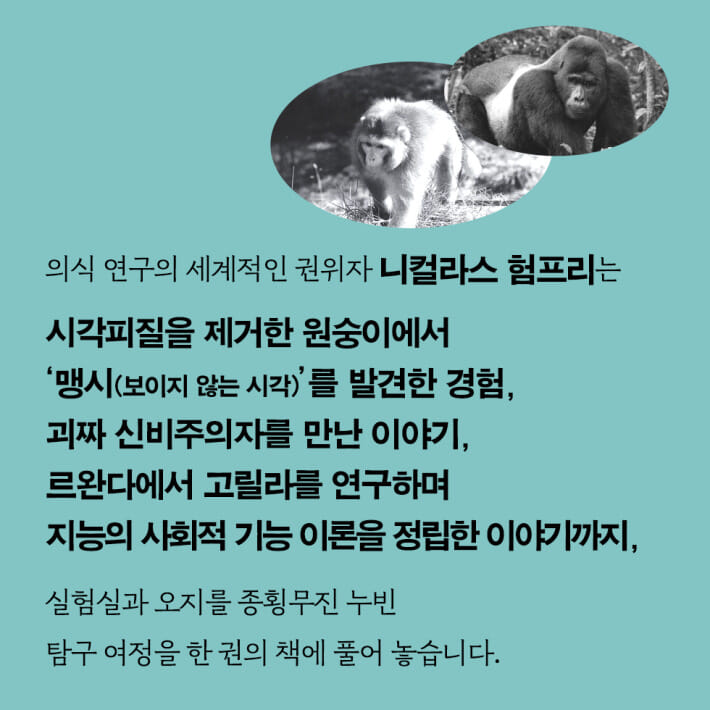 카드뉴스5