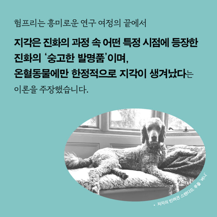 카드뉴스6
