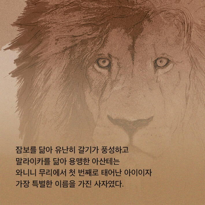 카드뉴스5