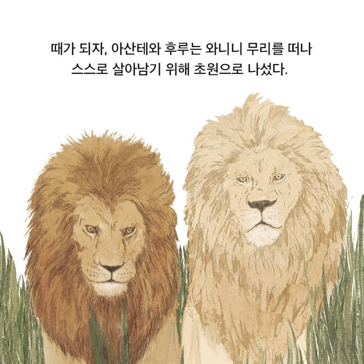 카드뉴스6