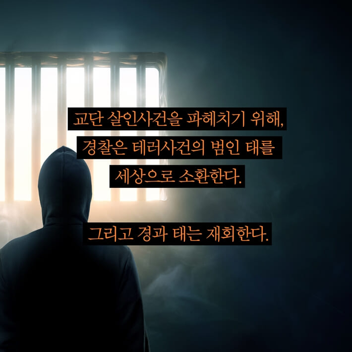 카드뉴스5