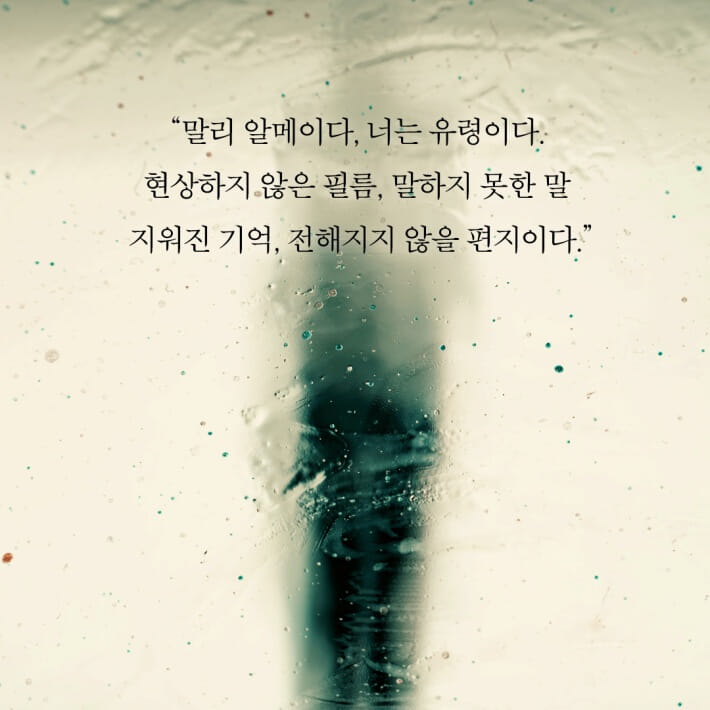 카드뉴스7