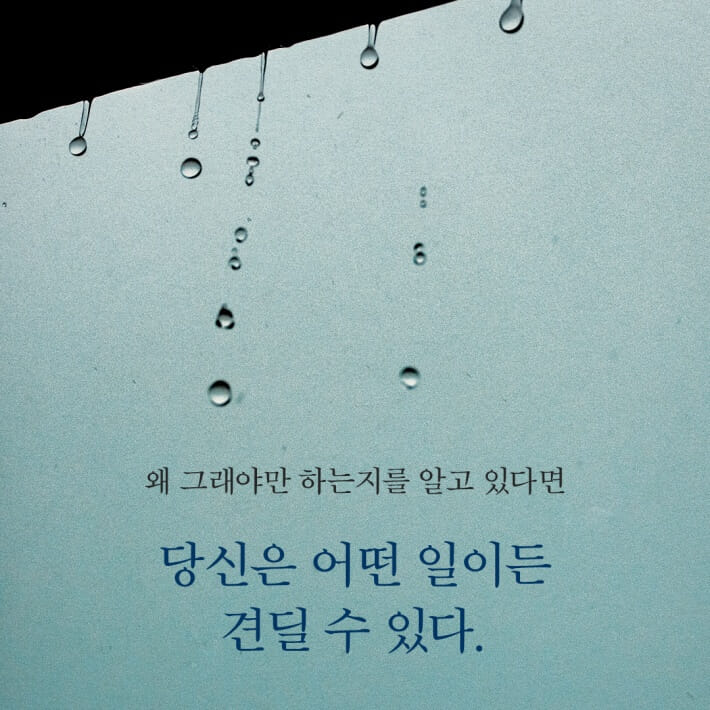 카드뉴스6