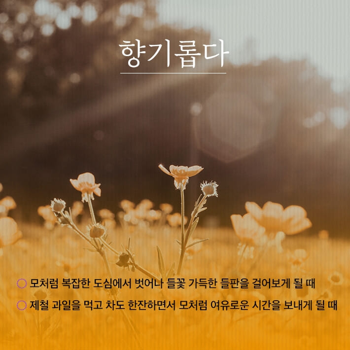 카드뉴스1