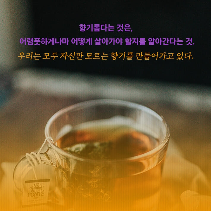 카드뉴스2