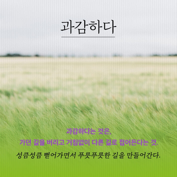 카드뉴스4
