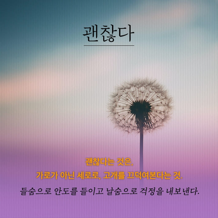 카드뉴스5