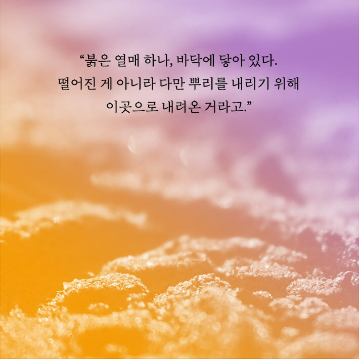 카드뉴스6