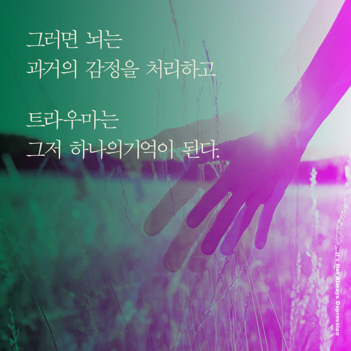 카드뉴스12