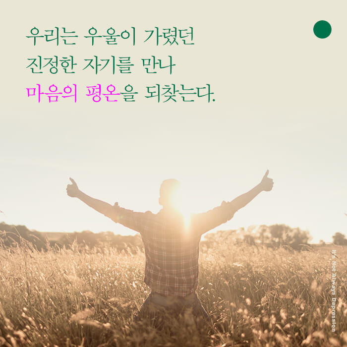 카드뉴스19
