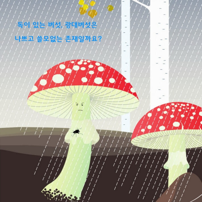 카드뉴스1