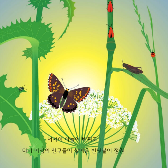 카드뉴스3