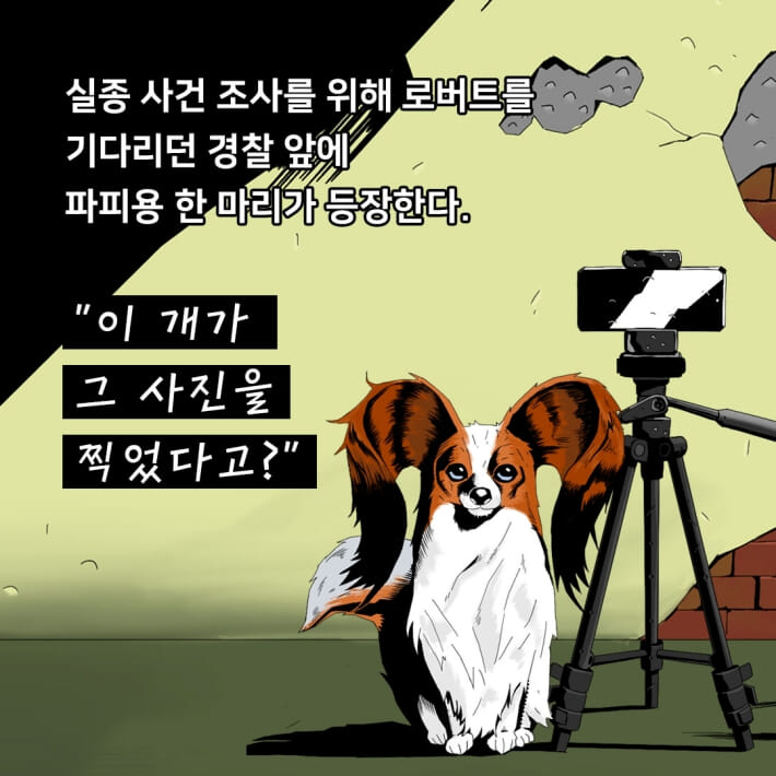 카드뉴스5