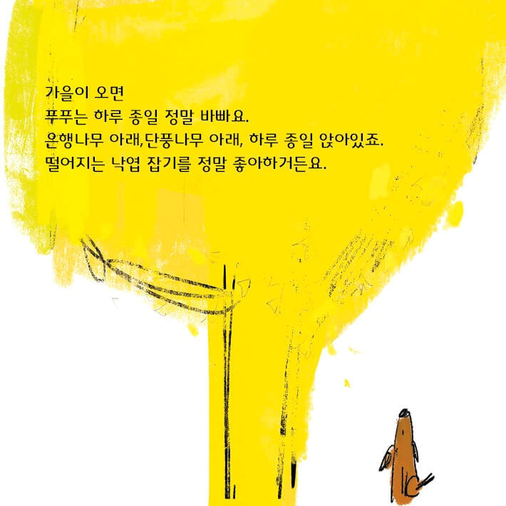 카드뉴스2