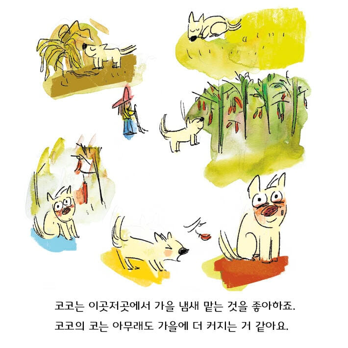 카드뉴스3